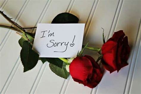 Rose says sorry to Rica .